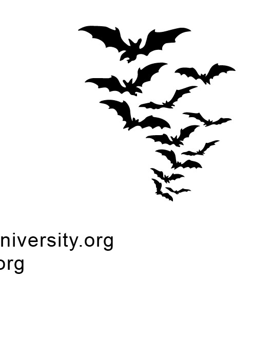 cartedevisite_recto-01