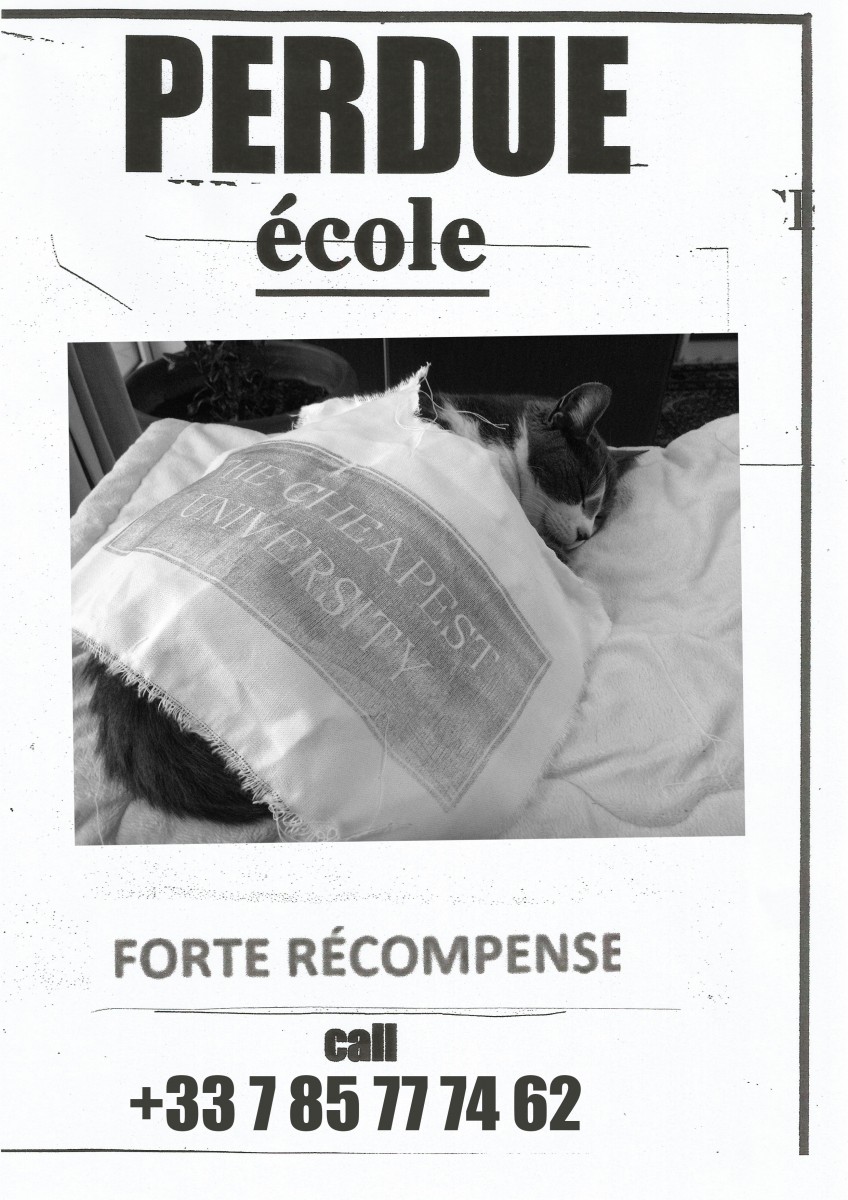 forterecompense_maxime-copie